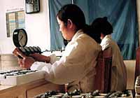 work_1.jpg(14kb)